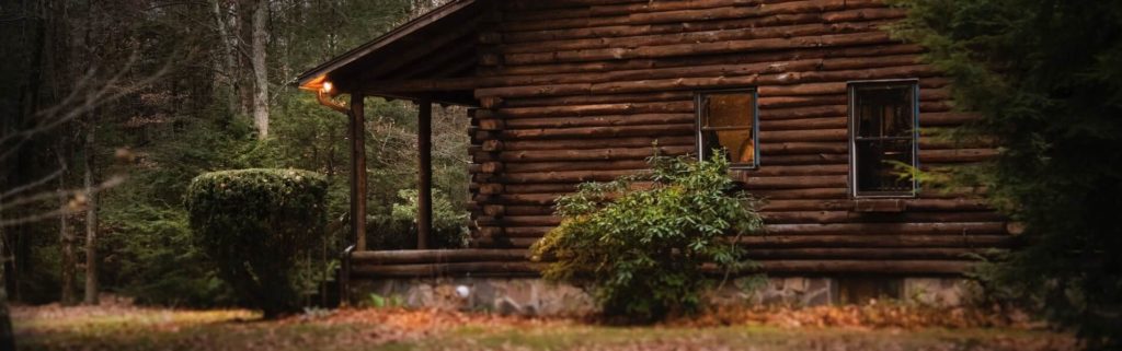 brown cabin in the woods